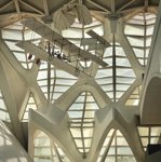 The Calatrava-designed (i.e. same architect as the Oculus) science museum in Valencia was stunning, along with everything else nearby too